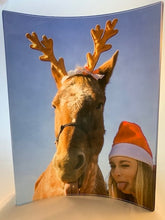 Load image into Gallery viewer, Acrylic Photo Panel - 8" x 10" CURVED - Portrait Oriented