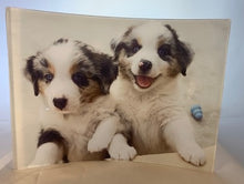 Load image into Gallery viewer, Acrylic Photo Panel - 6 x 8 CURVED - Landscape & Portrait Orientation