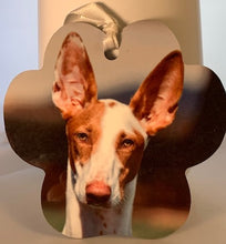 Load image into Gallery viewer, Ornament, Aluminum - Paw Print w/Ribbon - 2 sided